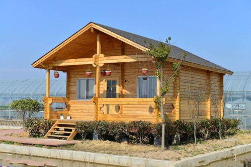 木屋爆料视频大全最新,最新视频大全深度解析